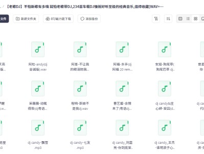 《老歌DJ》不怕新歌有多嗨 就怕老歌带DJ,234首车载DJ慢摇好听至极的经典音乐,值得收藏WAV+MP3+4.2GB]
