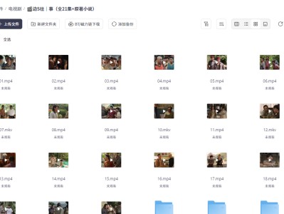 ?边S往|事(全21集+原著小说