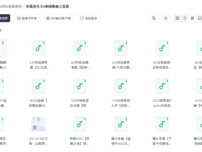 车载音乐 DJ串烧劲爆歌曲三百首